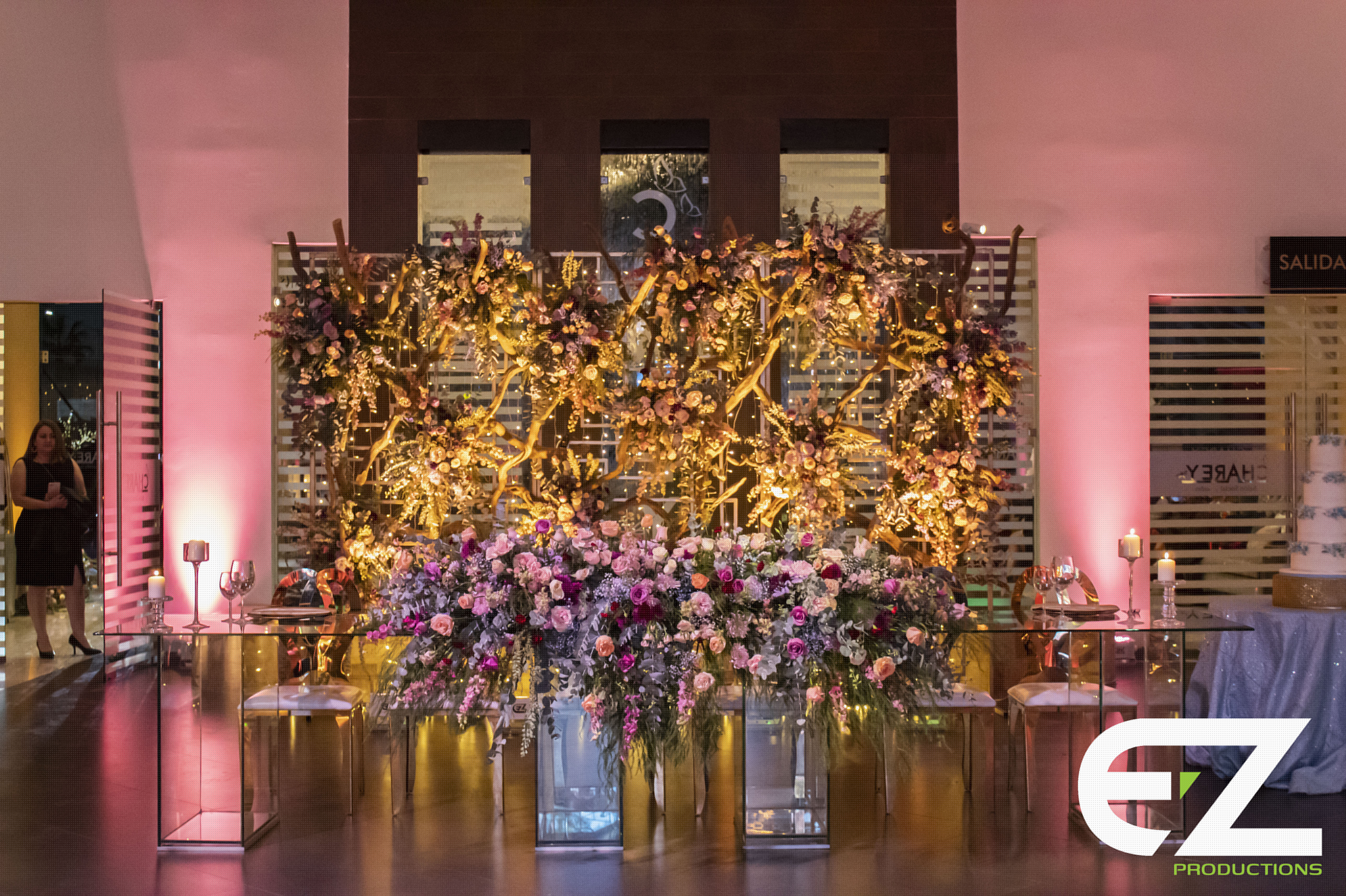 XV Años - Fiesta Elegante con iluminación y audio profesional por EZ Productions en Baja California